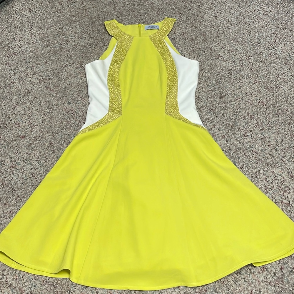 New bariano dress